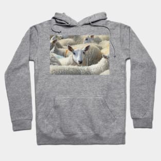 Who Ewe Looking at? Hoodie